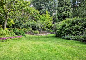 Optimiser l'expérience du jardin à Chateauroux